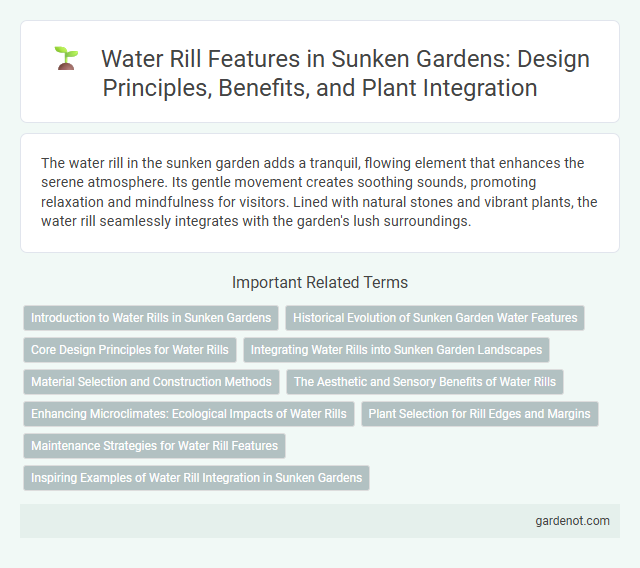Water Rill Features in Sunken Gardens: Design Principles, Benefits, and Plant Integration
