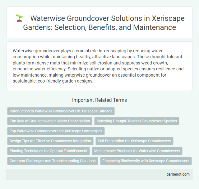 Waterwise Groundcover Solutions in Xeriscape Gardens: Selection, Benefits, and Maintenance