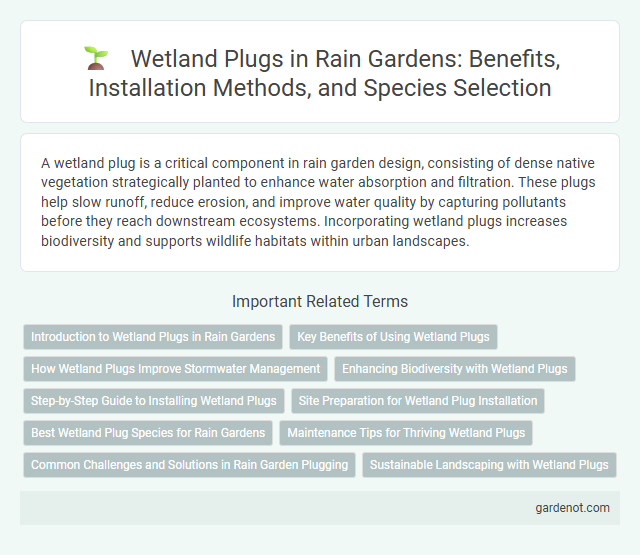 Wetland Plugs in Rain Gardens: Benefits, Installation Methods, and Species Selection