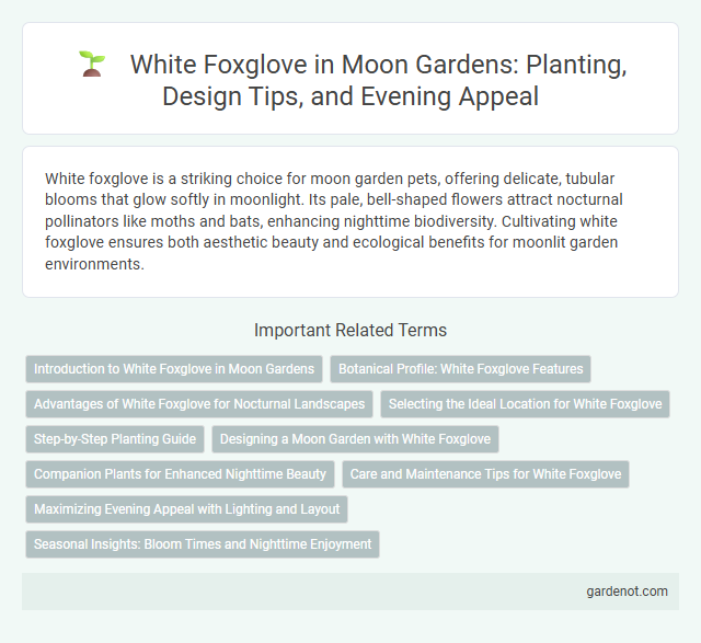White Foxglove in Moon Gardens: Planting, Design Tips, and Evening Appeal