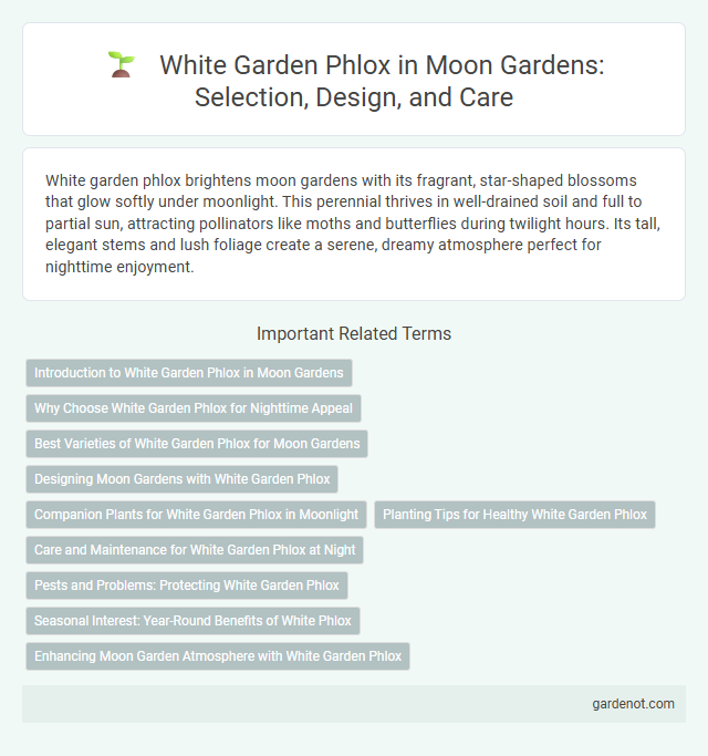 White Garden Phlox in Moon Gardens: Selection, Design, and Care
