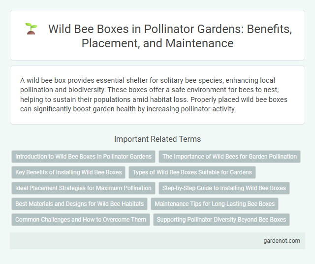 Wild Bee Boxes in Pollinator Gardens: Benefits, Placement, and Maintenance