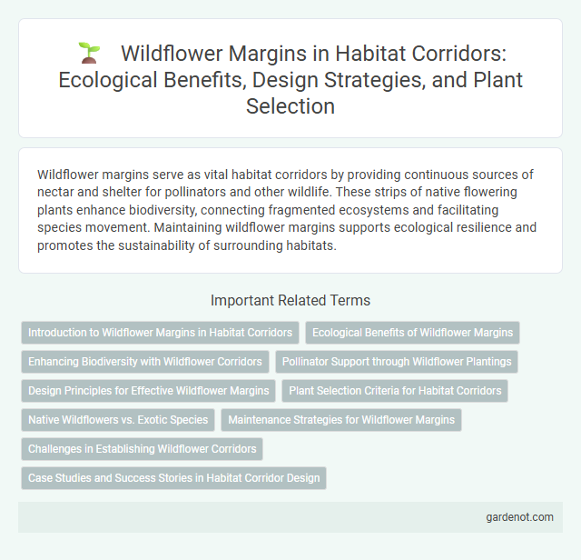 Wildflower Margins in Habitat Corridors: Ecological Benefits, Design Strategies, and Plant Selection