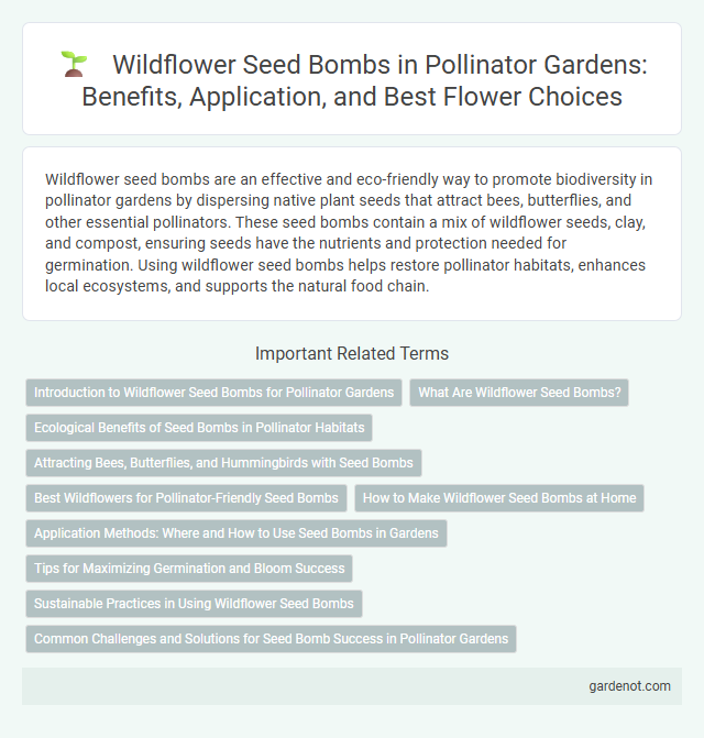 Wildflower Seed Bombs in Pollinator Gardens: Benefits, Application, and Best Flower Choices