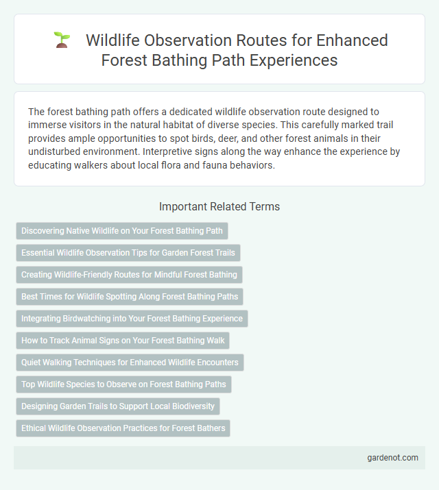 Wildlife Observation Routes for Enhanced Forest Bathing Path Experiences