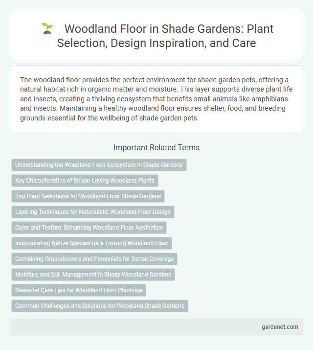 Woodland Floor in Shade Gardens: Plant Selection, Design Inspiration, and Care
