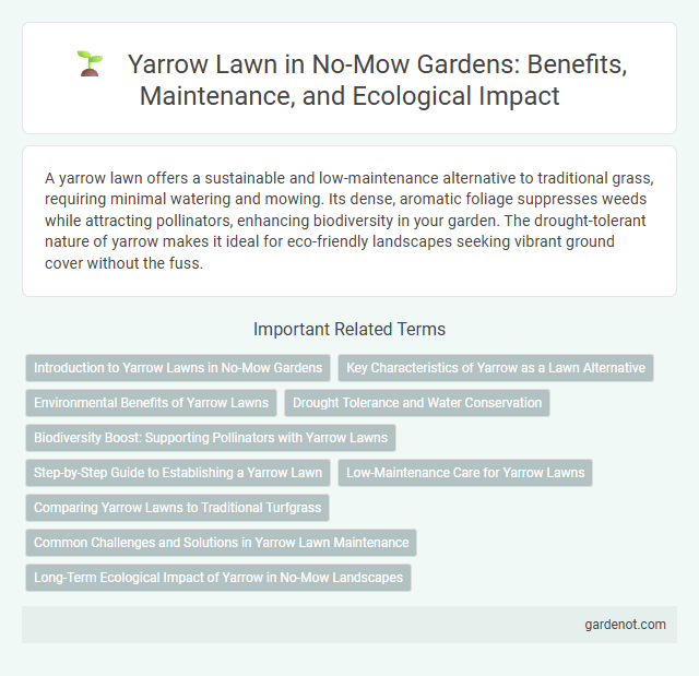 Yarrow Lawn in No-Mow Gardens: Benefits, Maintenance, and Ecological Impact