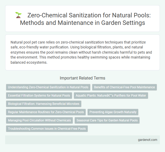 Zero-Chemical Sanitization for Natural Pools: Methods and Maintenance in Garden Settings
