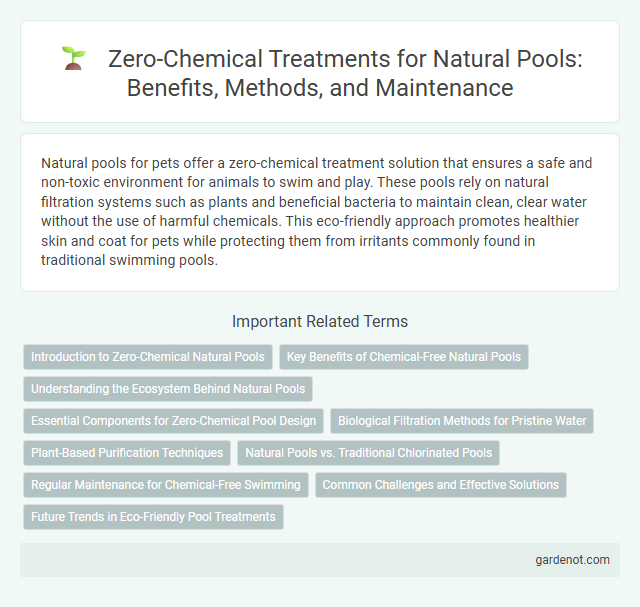 Zero-Chemical Treatments for Natural Pools: Benefits, Methods, and Maintenance