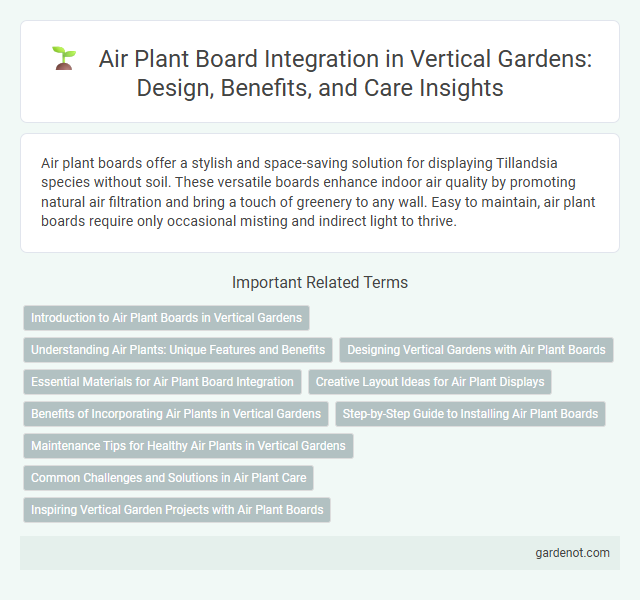 Air Plant Board Integration in Vertical Gardens: Design, Benefits, and Care Insights