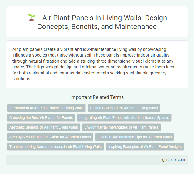 Air Plant Panels in Living Walls: Design Concepts, Benefits, and Maintenance