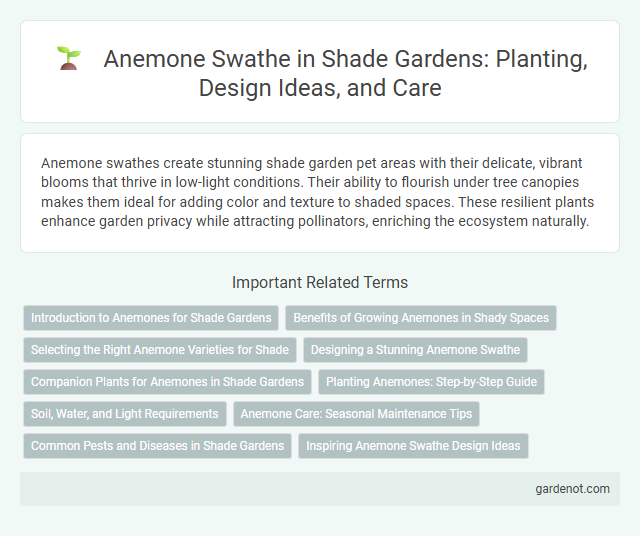 Anemone Swathe in Shade Gardens: Planting, Design Ideas, and Care