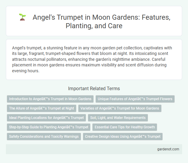 Angel's Trumpet in Moon Gardens: Features, Planting, and Care