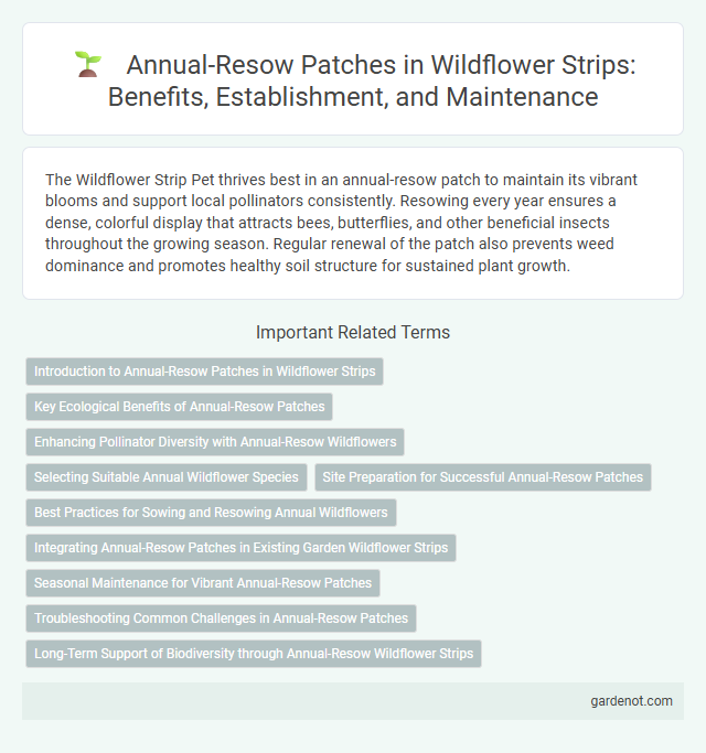 Annual-Resow Patches in Wildflower Strips: Benefits, Establishment, and Maintenance