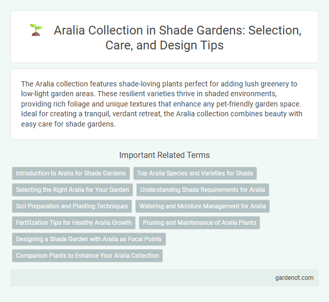 Aralia Collection in Shade Gardens: Selection, Care, and Design Tips
