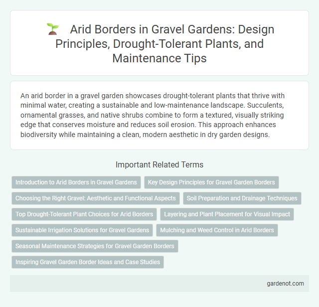 Arid Borders in Gravel Gardens: Design Principles, Drought-Tolerant Plants, and Maintenance Tips