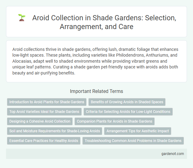 Aroid Collection in Shade Gardens: Selection, Arrangement, and Care