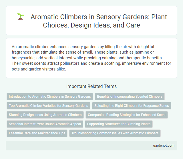 Aromatic Climbers in Sensory Gardens: Plant Choices, Design Ideas, and Care