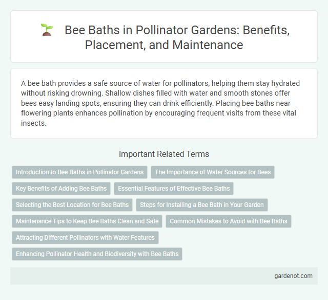 Bee Baths in Pollinator Gardens: Benefits, Placement, and Maintenance