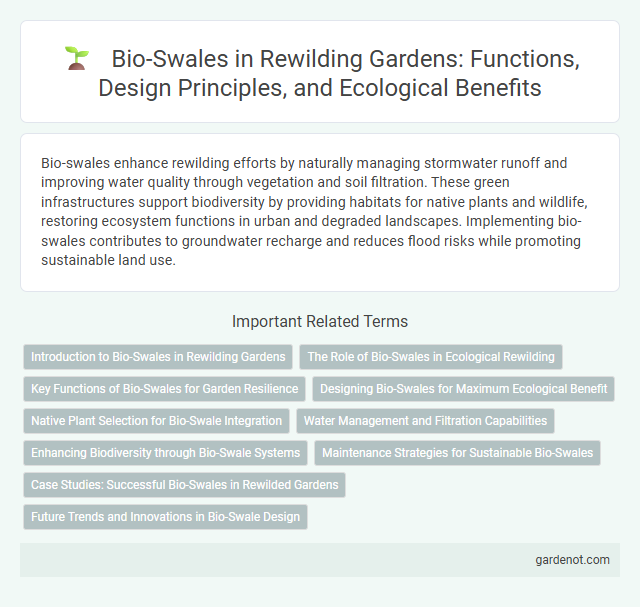Bio-Swales in Rewilding Gardens: Functions, Design Principles, and Ecological Benefits