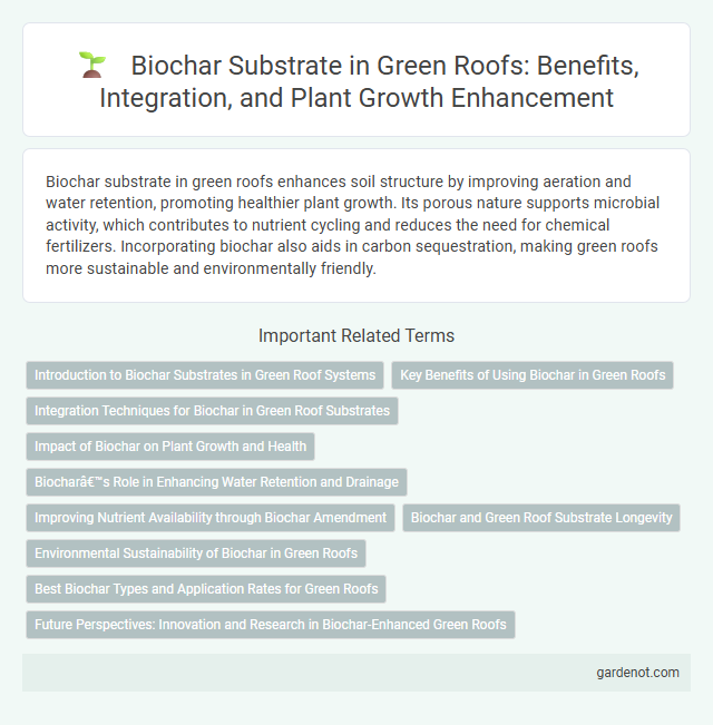 Biochar Substrate in Green Roofs: Benefits, Integration, and Plant Growth Enhancement