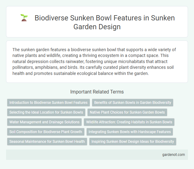 Biodiverse Sunken Bowl Features in Sunken Garden Design