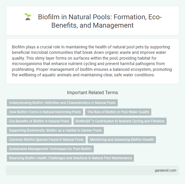 Biofilm in Natural Pools: Formation, Eco-Benefits, and Management