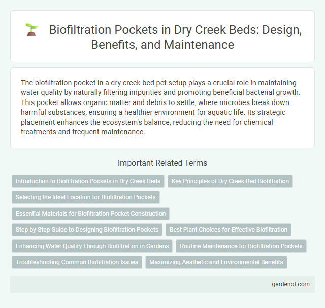 Biofiltration Pockets in Dry Creek Beds: Design, Benefits, and Maintenance