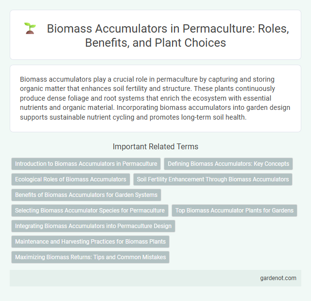 Biomass Accumulators in Permaculture: Roles, Benefits, and Plant Choices