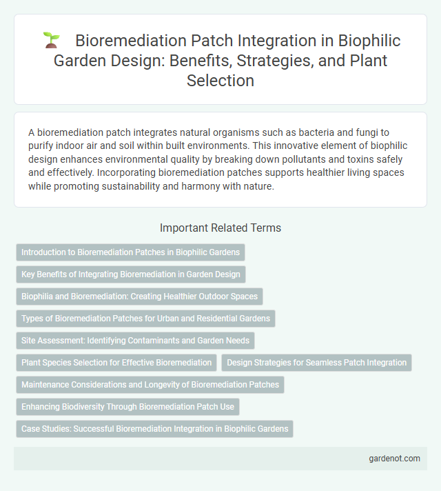 Bioremediation Patch Integration in Biophilic Garden Design: Benefits, Strategies, and Plant Selection