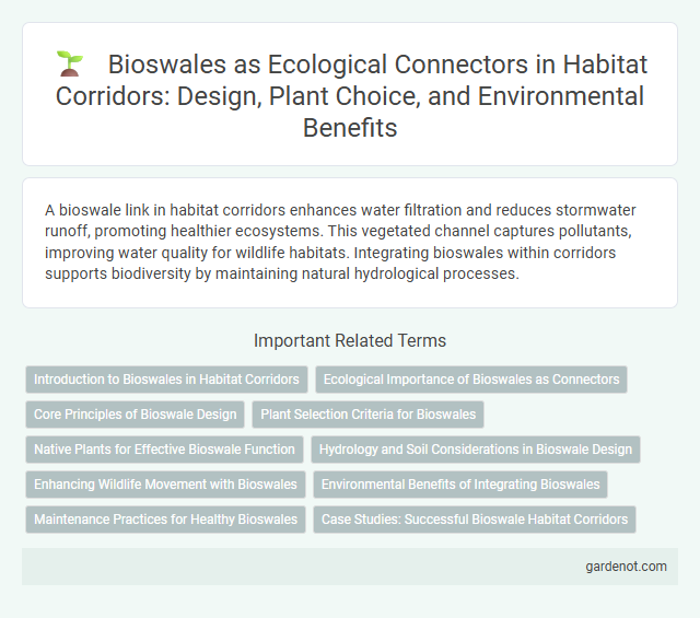 Bioswales as Ecological Connectors in Habitat Corridors: Design, Plant Choice, and Environmental Benefits