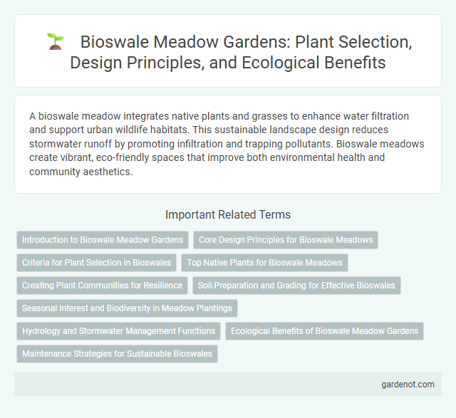 Bioswale Meadow Gardens: Plant Selection, Design Principles, and Ecological Benefits