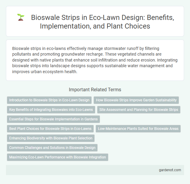 Bioswale Strips in Eco-Lawn Design: Benefits, Implementation, and Plant Choices