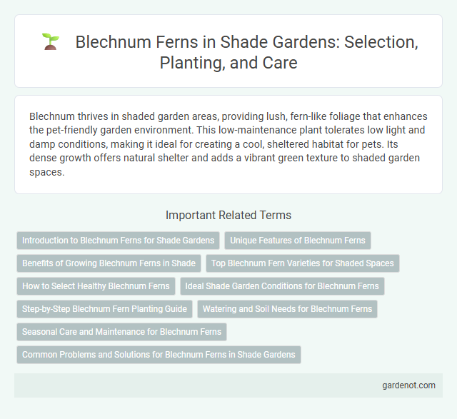 Blechnum Ferns in Shade Gardens: Selection, Planting, and Care