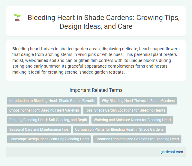 Bleeding Heart in Shade Gardens: Growing Tips, Design Ideas, and Care