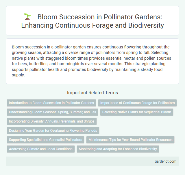 Bloom Succession in Pollinator Gardens: Enhancing Continuous Forage and Biodiversity