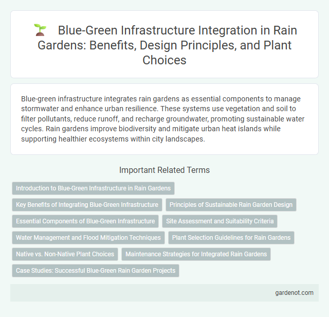 Blue-Green Infrastructure Integration in Rain Gardens: Benefits, Design Principles, and Plant Choices