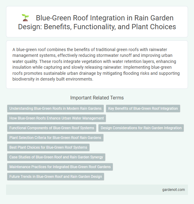 Blue-Green Roof Integration in Rain Garden Design: Benefits, Functionality, and Plant Choices
