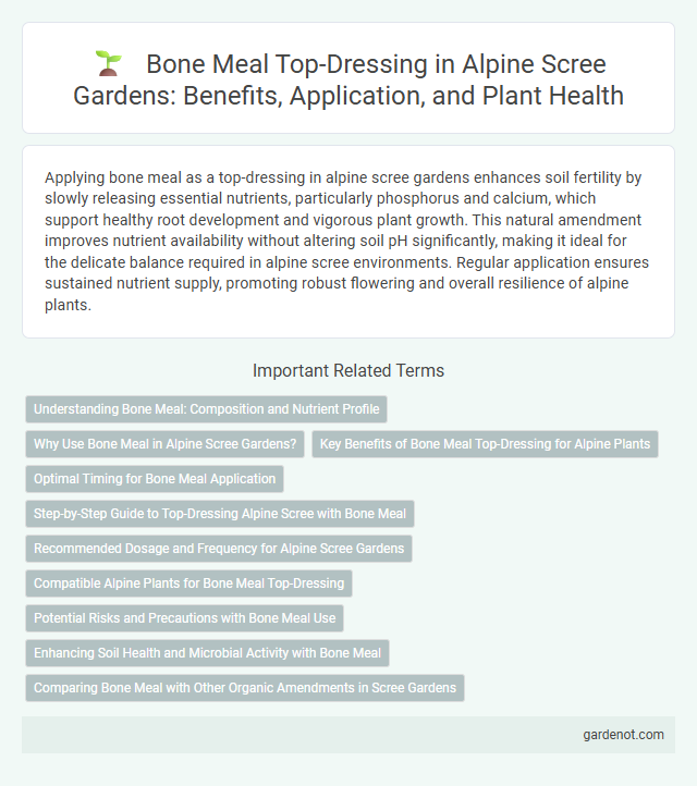 Bone Meal Top-Dressing in Alpine Scree Gardens: Benefits, Application, and Plant Health