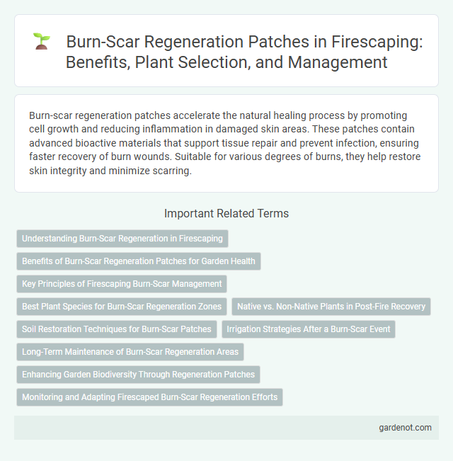 Burn-Scar Regeneration Patches in Firescaping: Benefits, Plant Selection, and Management