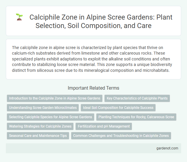 Calciphile Zone in Alpine Scree Gardens: Plant Selection, Soil Composition, and Care