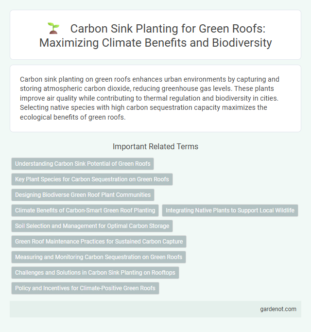 Carbon Sink Planting for Green Roofs: Maximizing Climate Benefits and Biodiversity