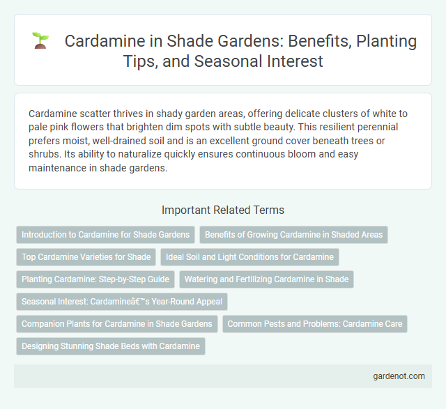 Cardamine in Shade Gardens: Benefits, Planting Tips, and Seasonal Interest