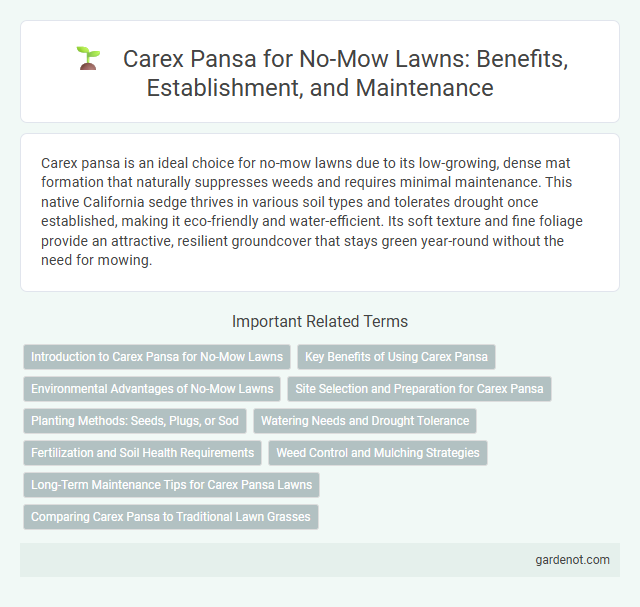 Carex Pansa for No-Mow Lawns: Benefits, Establishment, and Maintenance