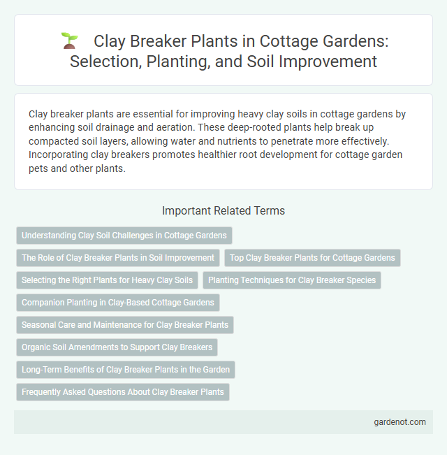 Clay Breaker Plants in Cottage Gardens: Selection, Planting, and Soil Improvement