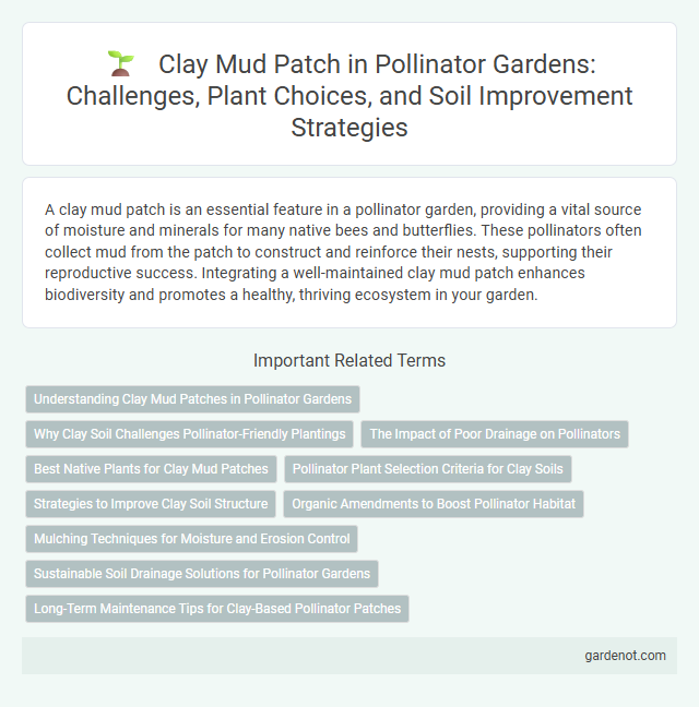 Clay Mud Patch in Pollinator Gardens: Challenges, Plant Choices, and Soil Improvement Strategies