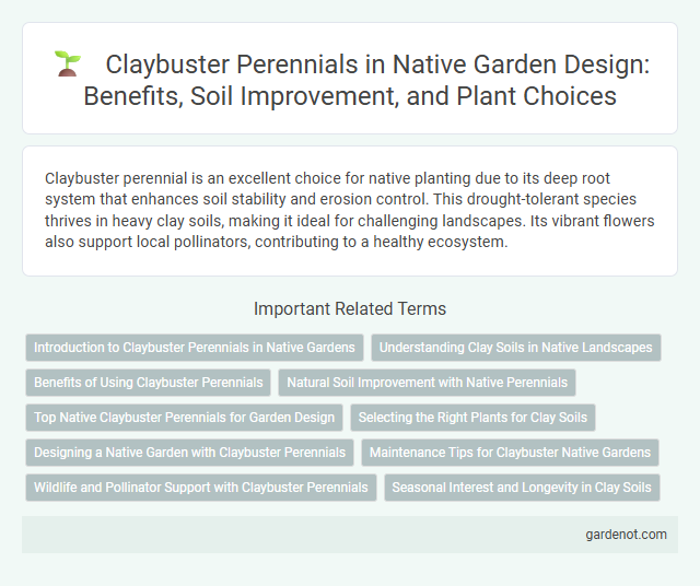Claybuster Perennials in Native Garden Design: Benefits, Soil Improvement, and Plant Choices