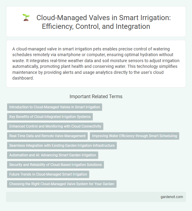 Cloud-Managed Valves in Smart Irrigation: Efficiency, Control, and Integration