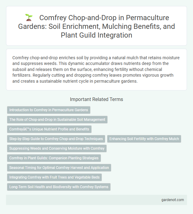 Comfrey Chop-and-Drop in Permaculture Gardens: Soil Enrichment, Mulching Benefits, and Plant Guild Integration