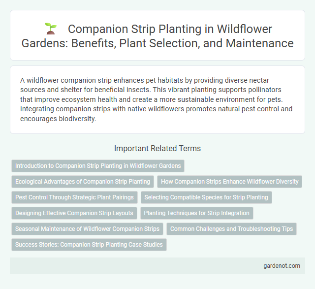 Companion Strip Planting in Wildflower Gardens: Benefits, Plant Selection, and Maintenance